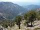imgp7633_small.jpg