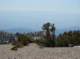 imgp7646_small.jpg