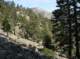 imgp7648_small.jpg