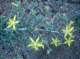 imgp0061_small.jpg