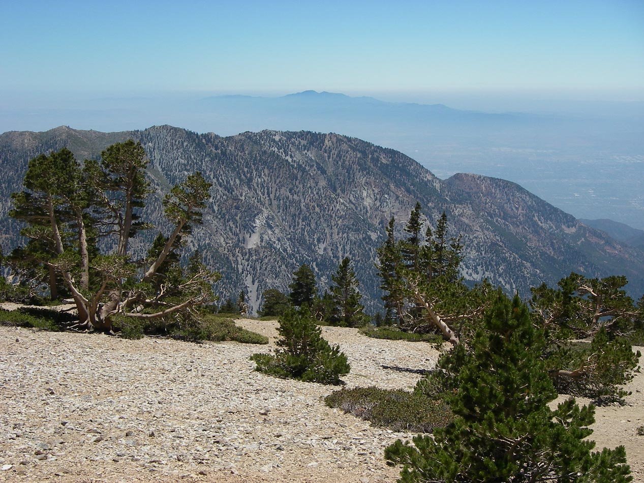 imgp0078.jpg