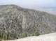 imgp0084_small.jpg