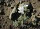 imgp0089_small.jpg