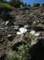 imgp0090_small.jpg