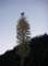 imgp0093_small.jpg