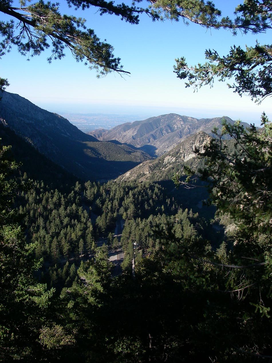 imgp0693.jpg