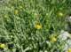 imgp0697_small.jpg