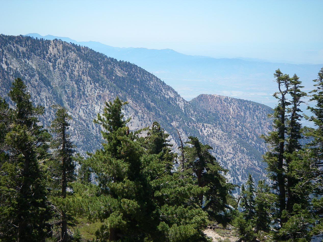 imgp0700.jpg
