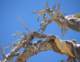 imgp0705_small.jpg