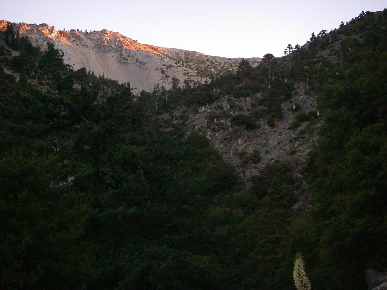 imgp0047.jpg
