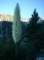 imgp0048_small.jpg