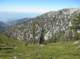 imgp0054_small.jpg