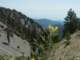 imgp1482_small.jpg