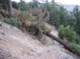 imgp2467_small.jpg