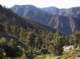 imgp2478_small.jpg