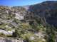 imgp2479_small.jpg