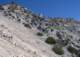 imgp2484_small.jpg
