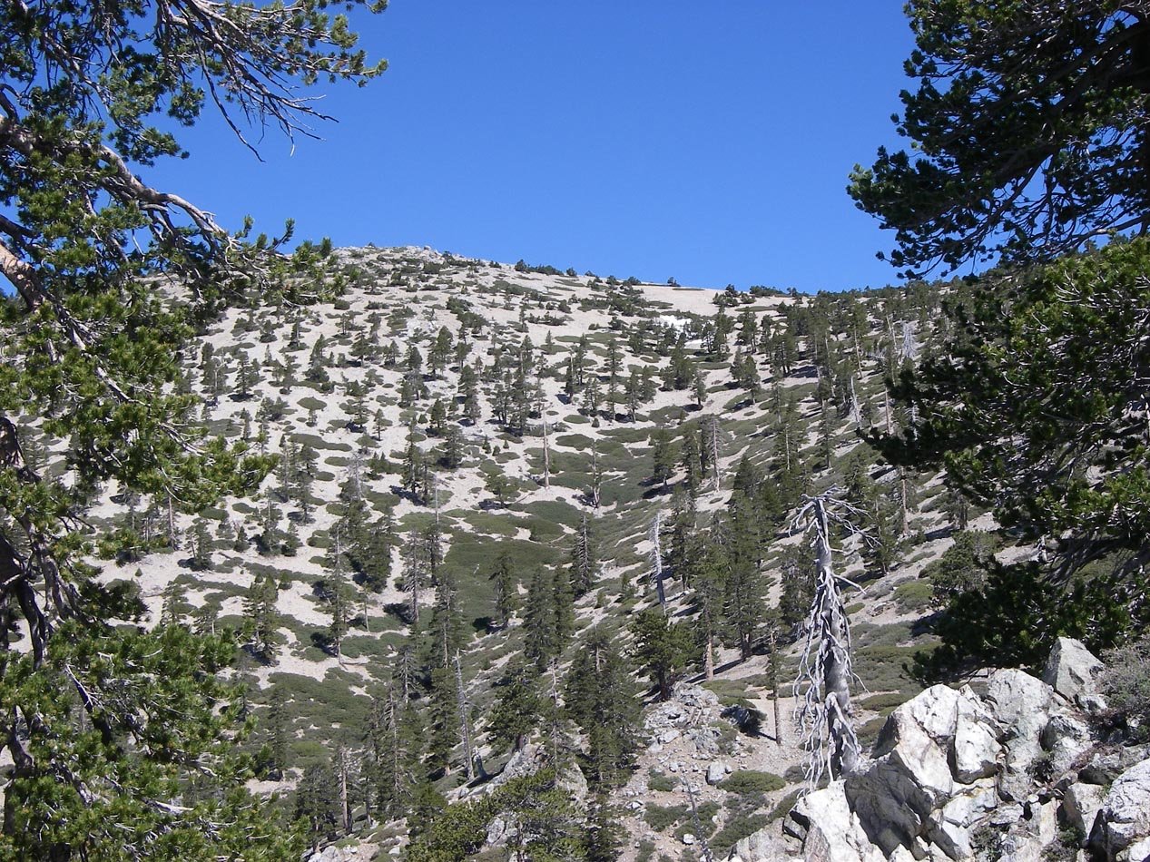 imgp2485.jpg