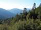 imgp2318_small.jpg