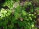 imgp2321_small.jpg