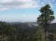 imgp2355_small.jpg