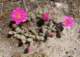 imgp2357_small.jpg
