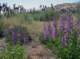 imgp2358_small.jpg