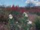 imgp2359_small.jpg