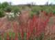 imgp2360_small.jpg