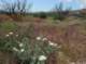 imgp2361_small.jpg