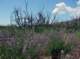 imgp2363_small.jpg
