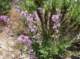 imgp2365_small.jpg