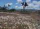 imgp2369_small.jpg