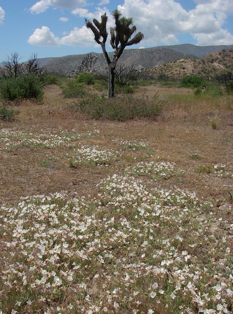 imgp2370.jpg