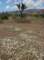 imgp2370_small.jpg
