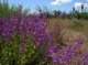 imgp2374_small.jpg