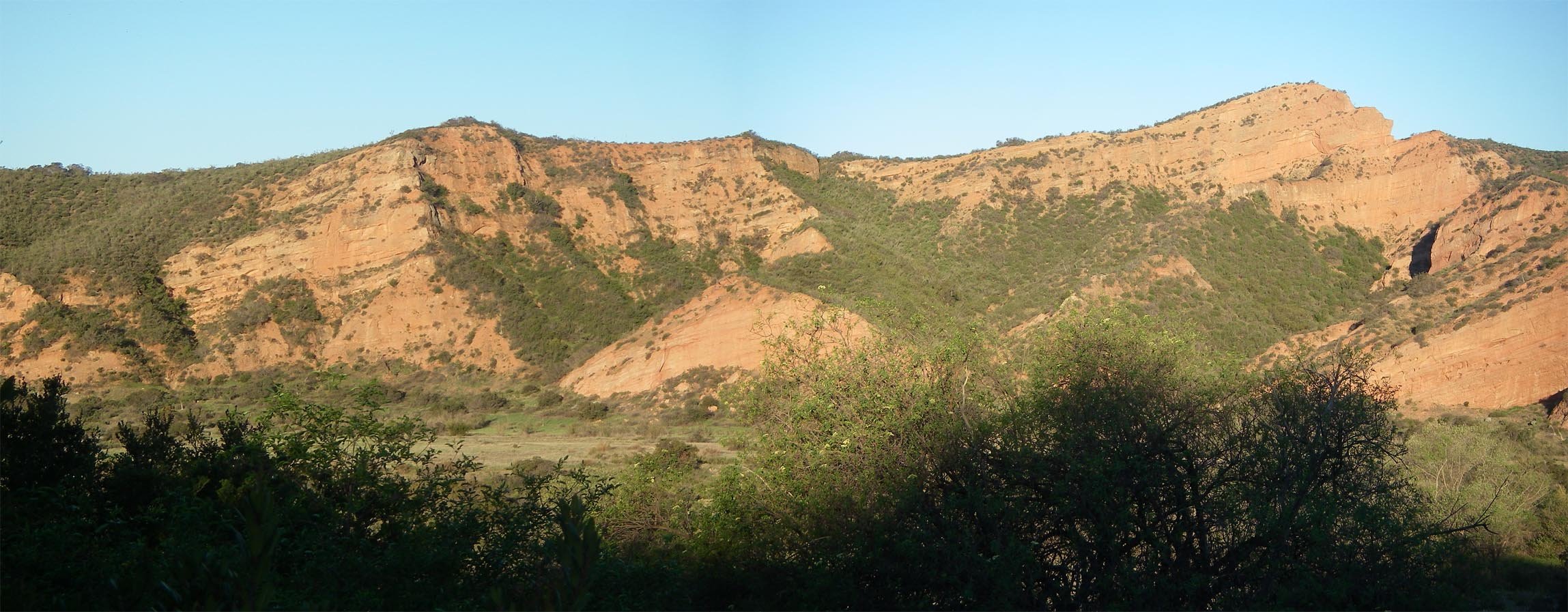 imgp8701m.jpg