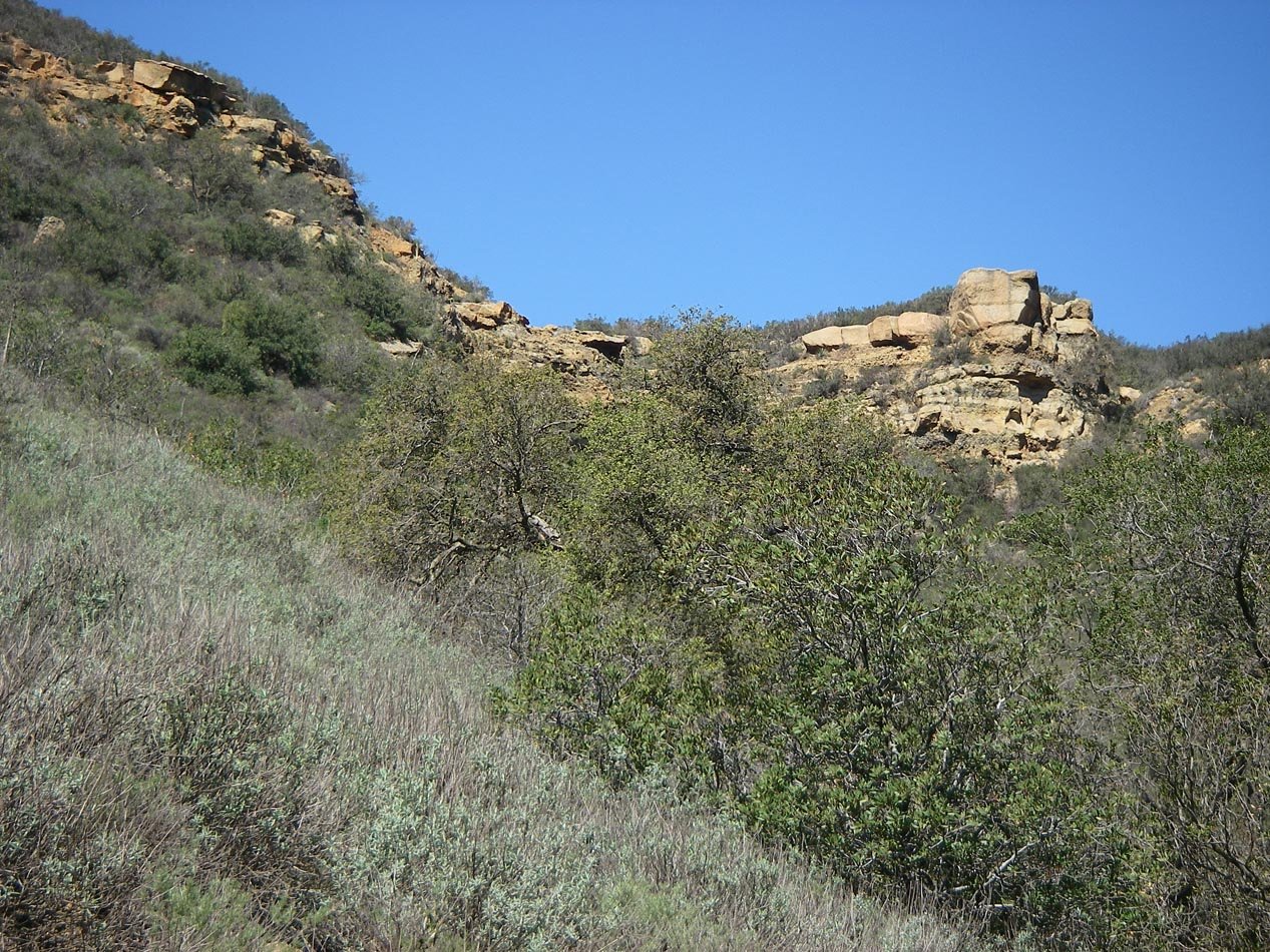 imgp8718.jpg