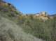 imgp8718_small.jpg