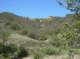 imgp8723_small.jpg