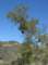 imgp8724_small.jpg