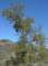 imgp8726_small.jpg