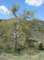imgp8729_small.jpg