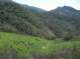imgp8736_small.jpg
