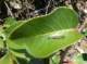 imgp8743_small.jpg