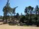 imgp8744_small.jpg