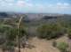 imgp8747_small.jpg