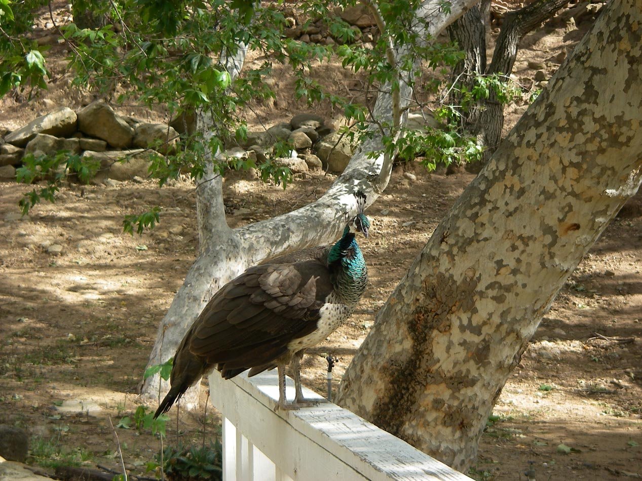 imgp8763.jpg