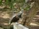 imgp8763_small.jpg