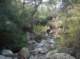 imgp0505_small.jpg